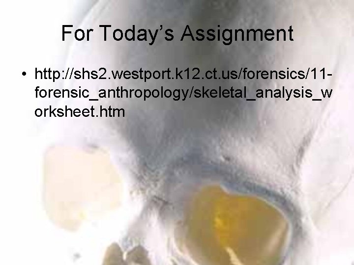 For Today’s Assignment • http: //shs 2. westport. k 12. ct. us/forensics/11 forensic_anthropology/skeletal_analysis_w orksheet.