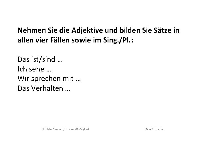 Nehmen Sie die Adjektive und bilden Sie Sätze in allen vier Fällen sowie im