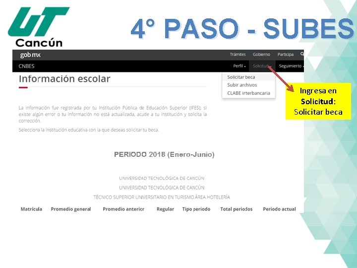 4° PASO - SUBES Ingresa en Solicitud: Solicitar beca 