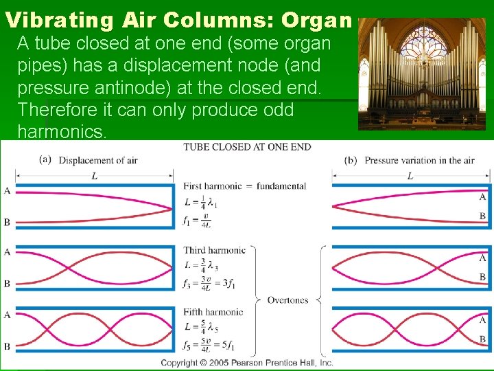 Vibrating Air Columns: Organ A tube closed at one end (some organ pipes) has