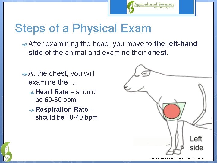 Steps of a Physical Exam After examining the head, you move to the left-hand