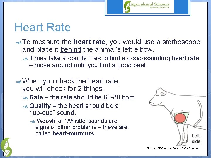 Heart Rate To measure the heart rate, you would use a stethoscope and place