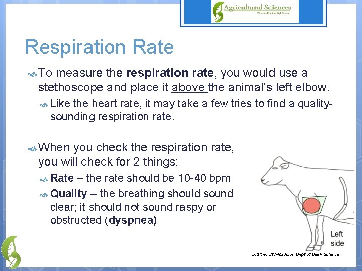 Respiration Rate To measure the respiration rate, you would use a stethoscope and place