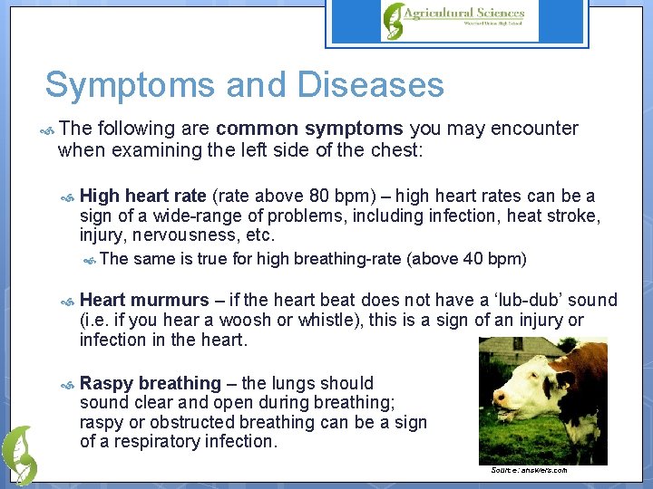 Symptoms and Diseases The following are common symptoms you may encounter when examining the