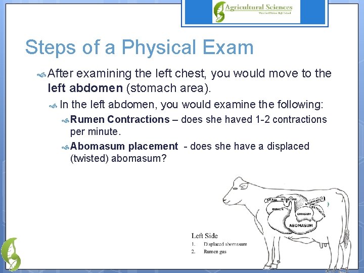 Steps of a Physical Exam After examining the left chest, you would move to
