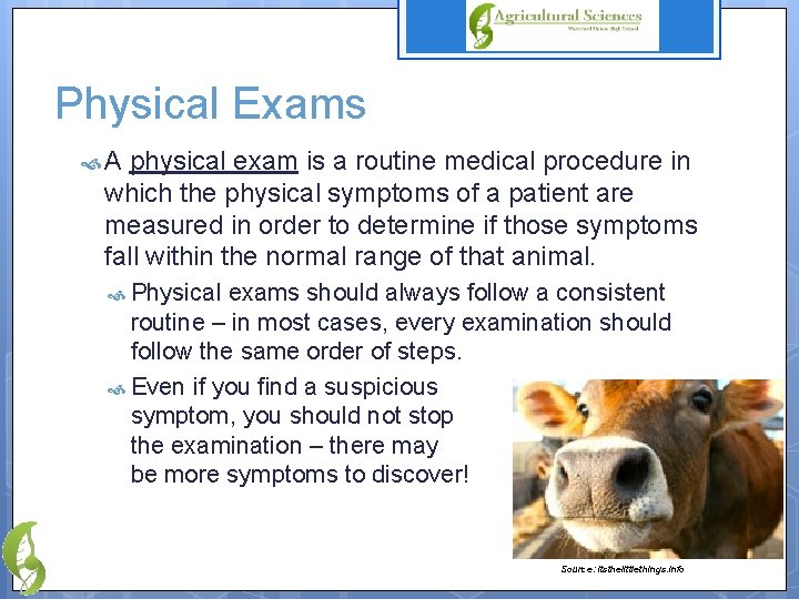 Physical Exams A physical exam is a routine medical procedure in which the physical