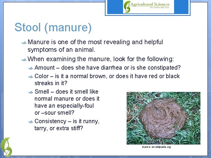 Stool (manure) Manure is one of the most revealing and helpful symptoms of an