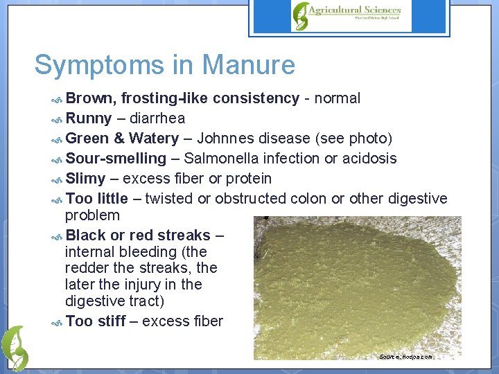 Symptoms in Manure Brown, frosting-like consistency - normal Runny – diarrhea Green & Watery