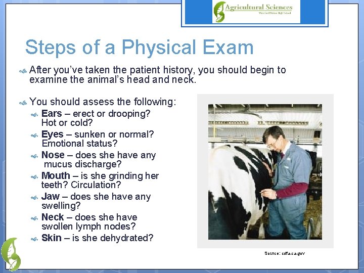 Steps of a Physical Exam After you’ve taken the patient history, you should begin