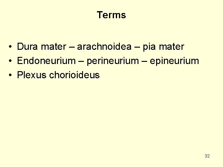 Terms • Dura mater – arachnoidea – pia mater • Endoneurium – perineurium –