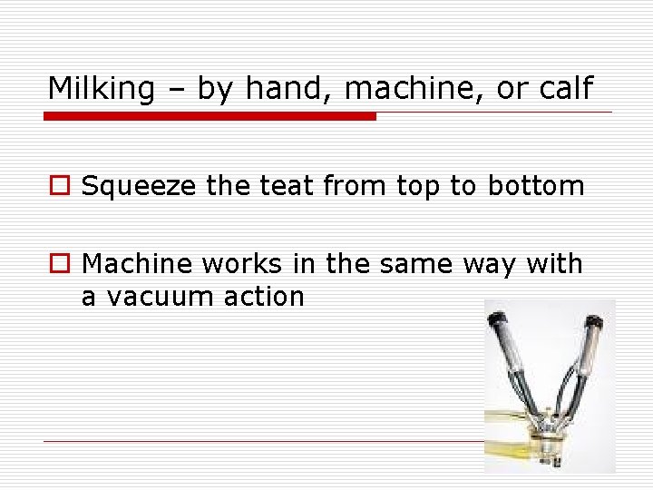 Milking – by hand, machine, or calf o Squeeze the teat from top to