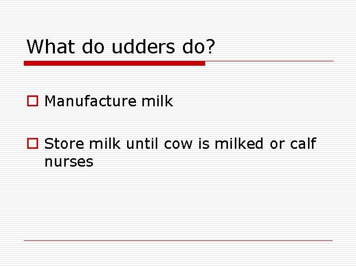 What do udders do? o Manufacture milk o Store milk until cow is milked