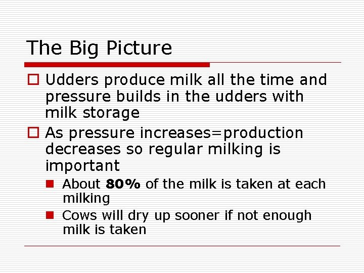 The Big Picture o Udders produce milk all the time and pressure builds in