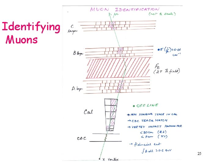 Identifying Muons 25 