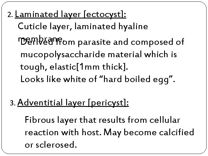 2. Laminated layer [ectocyst]: Cuticle layer, laminated hyaline membrane. Derived from parasite and composed