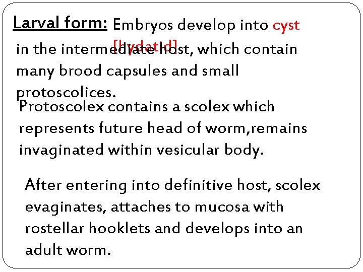 Larval form: Embryos develop into cyst [hydatid] in the intermediate host, which contain many