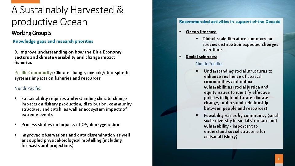 A Sustainably Harvested & productive Ocean Working Group 5 Recommended activities in support of