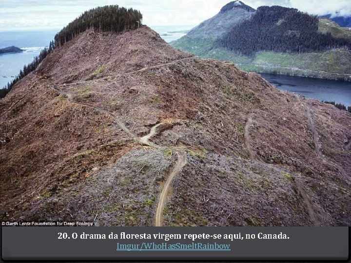 20. O drama da floresta virgem repete-se aqui, no Canada. Imgur/Who. Has. Smelt. Rainbow