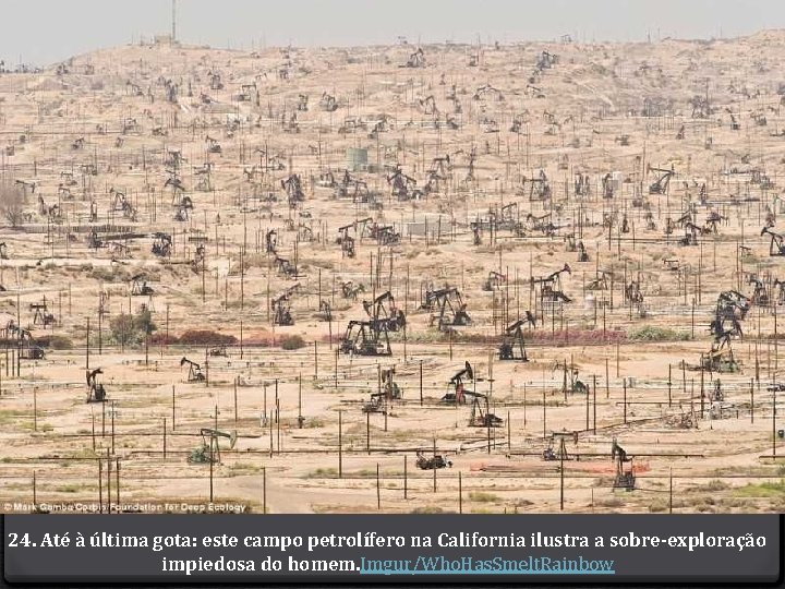 24. Até à última gota: este campo petrolífero na California ilustra a sobre-exploração impiedosa