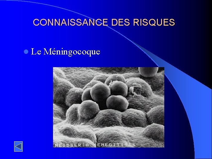 CONNAISSANCE DES RISQUES l Le Méningocoque 
