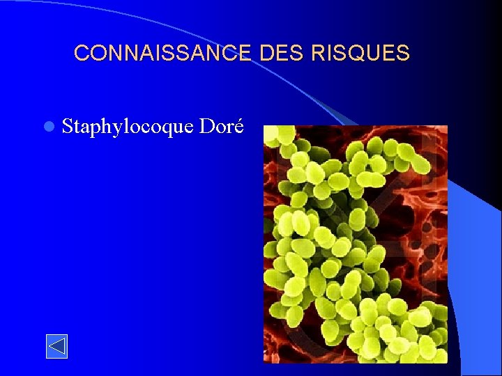 CONNAISSANCE DES RISQUES l Staphylocoque Doré 