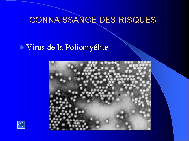 CONNAISSANCE DES RISQUES l Virus de la Poliomyélite 