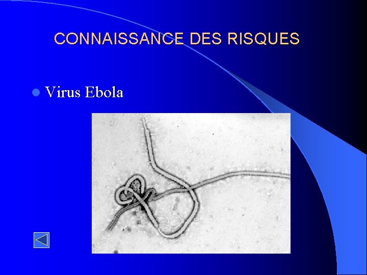 CONNAISSANCE DES RISQUES l Virus Ebola 