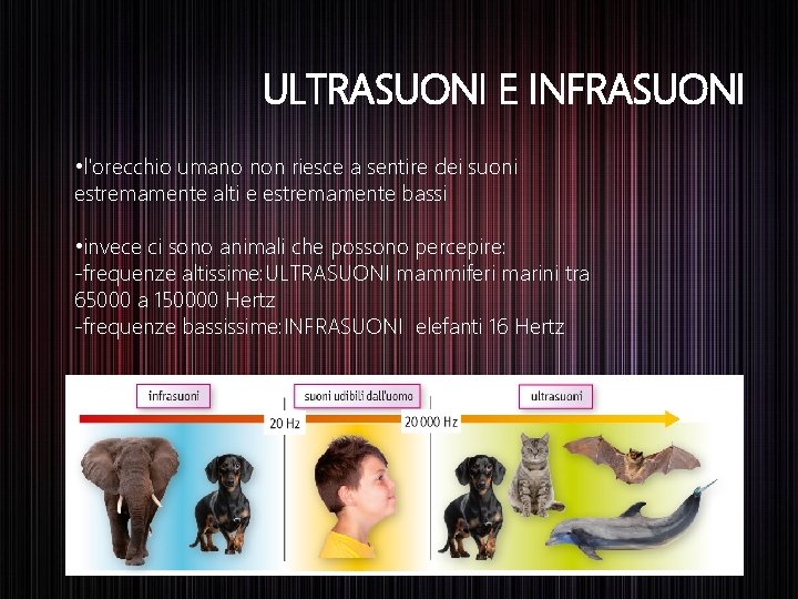 ULTRASUONI E INFRASUONI • l'orecchio umano non riesce a sentire dei suoni estremamente alti