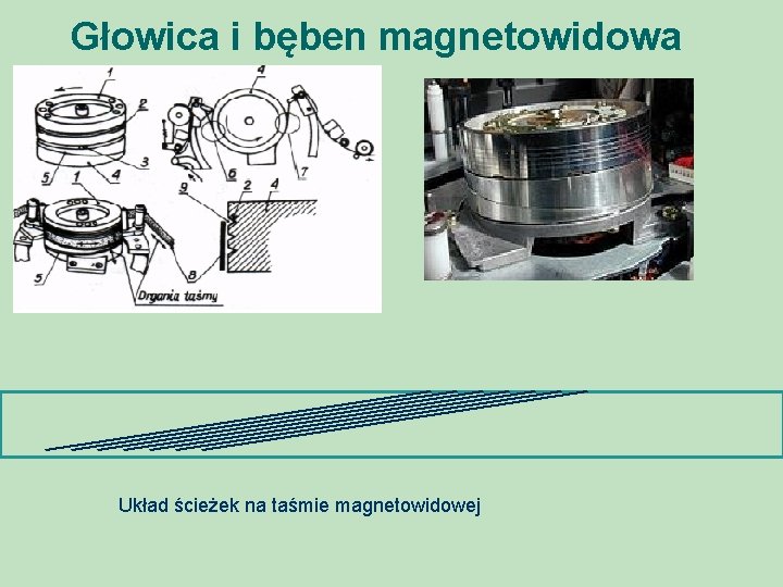Głowica i bęben magnetowidowa Układ ścieżek na taśmie magnetowidowej 
