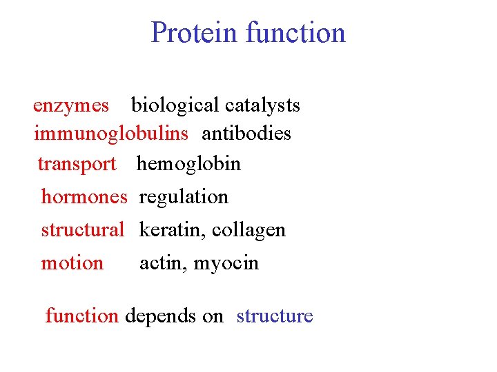 Protein function enzymes biological catalysts immunoglobulins antibodies transport hemoglobin hormones regulation structural keratin, collagen