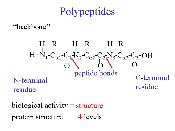 Polypeptides “backbone” _ _ _ H R H R _ H N 1 -C