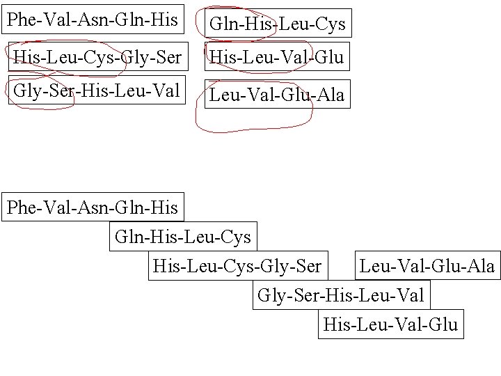 Phe-Val-Asn-Gln-His-Leu-Cys His-Leu-Cys-Gly-Ser His-Leu-Val-Glu Gly-Ser-His-Leu-Val-Glu-Ala Phe-Val-Asn-Gln-His-Leu-Cys Leu-Val-Glu-Ala His-Leu-Cys-Gly-Ser-His-Leu-Val-Glu 