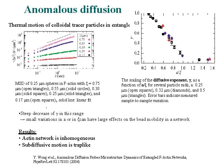 Anomalous diffusion Thermal motion of colloidal tracer particles in entangled F-actin MSD of 0.