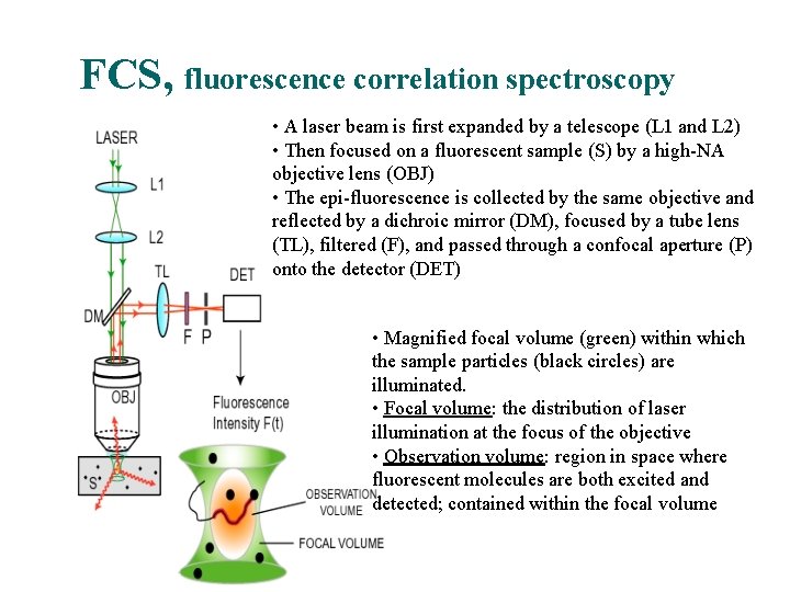 FCS, fluorescence correlation spectroscopy • A laser beam is first expanded by a telescope