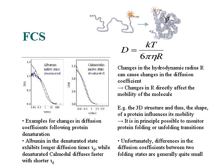 FCS A nice application, in principle… Changes in the hydrodynamic radius R can cause