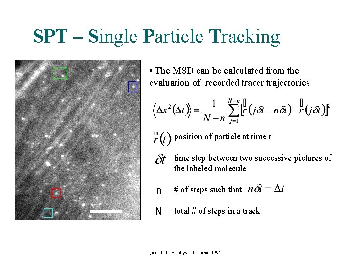 SPT – Single Particle Tracking • The MSD can be calculated from the evaluation