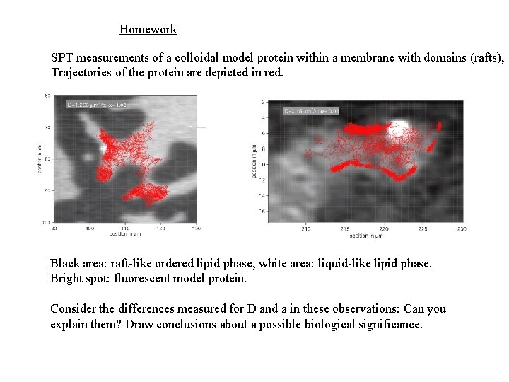 Homework SPT measurements of a colloidal model protein within a membrane with domains (rafts),