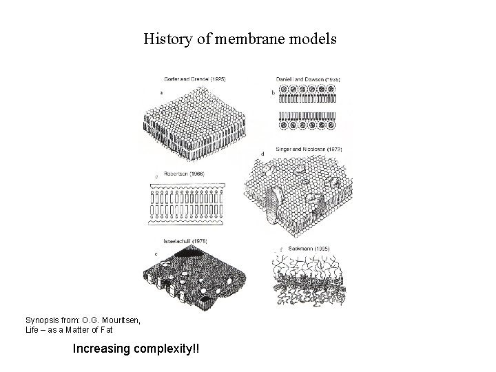 History of membrane models Synopsis from: O. G. Mouritsen, Life – as a Matter