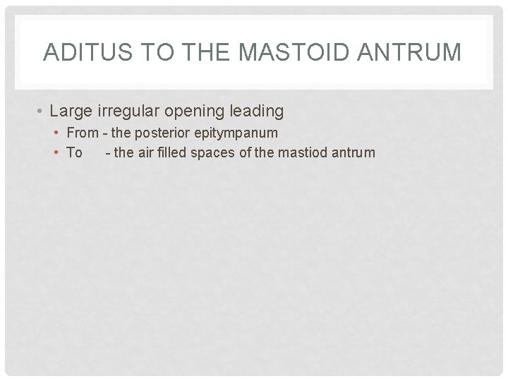 ADITUS TO THE MASTOID ANTRUM • Large irregular opening leading • From - the