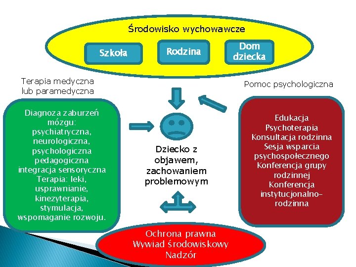 Środowisko wychowawcze Szkoła Rodzina Terapia medyczna lub paramedyczna Diagnoza zaburzeń mózgu: psychiatryczna, neurologiczna, psychologiczna