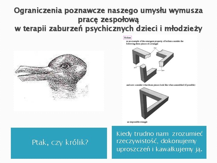 Ograniczenia poznawcze naszego umysłu wymusza pracę zespołową w terapii zaburzeń psychicznych dzieci i młodzieży