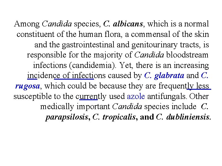 Among Candida species, C. albicans, which is a normal constituent of the human flora,