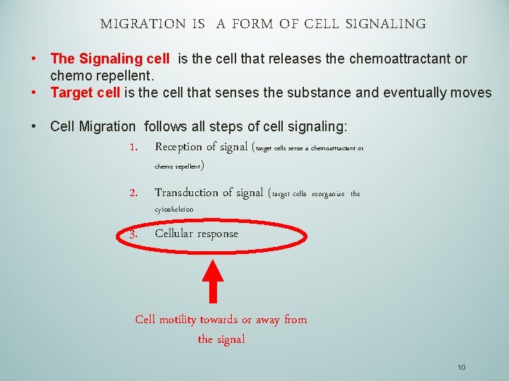 MIGRATION IS A FORM OF CELL SIGNALING • The Signaling cell is the cell