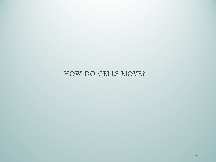 HOW DO CELLS MOVE? 11 
