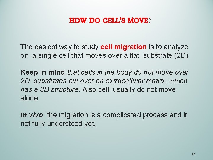 HOW DO CELL’S MOVE? The easiest way to study cell migration is to analyze