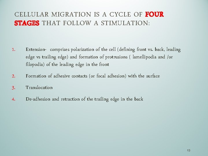 CELLULAR MIGRATION IS A CYCLE OF FOUR STAGES THAT FOLLOW A STIMULATION: 1. Extension-