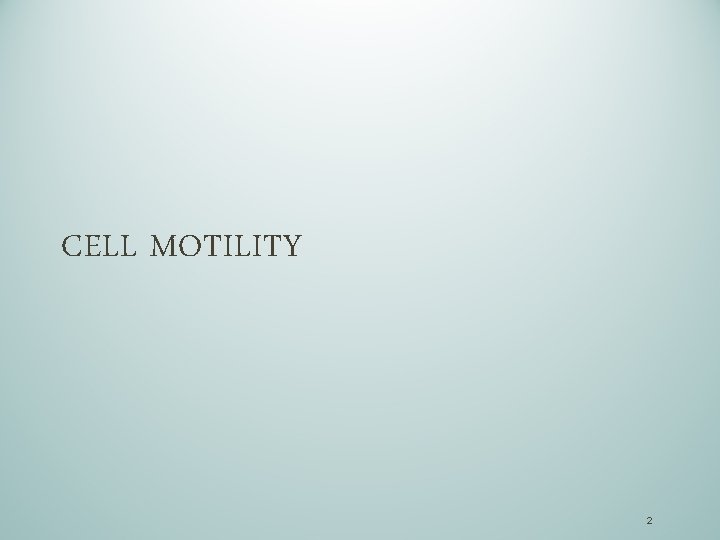 CELL MOTILITY 2 