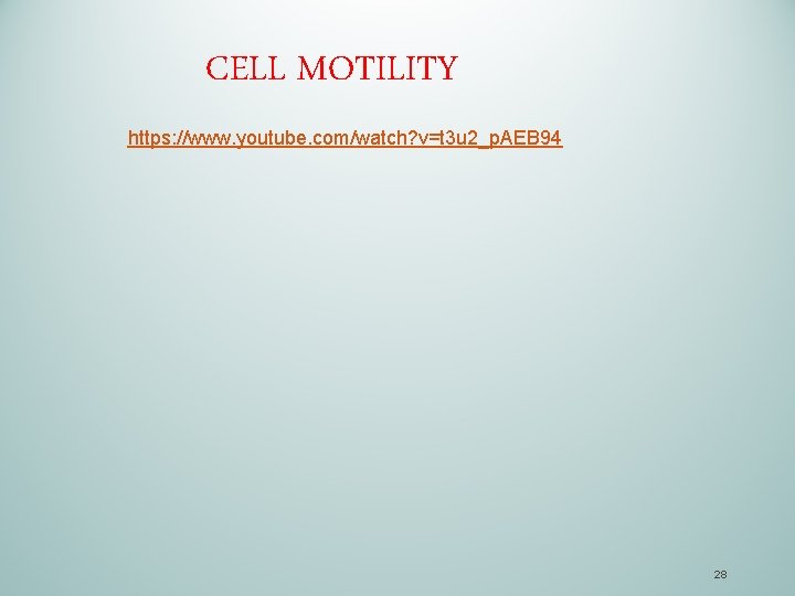 CELL MOTILITY https: //www. youtube. com/watch? v=t 3 u 2_p. AEB 94 28 