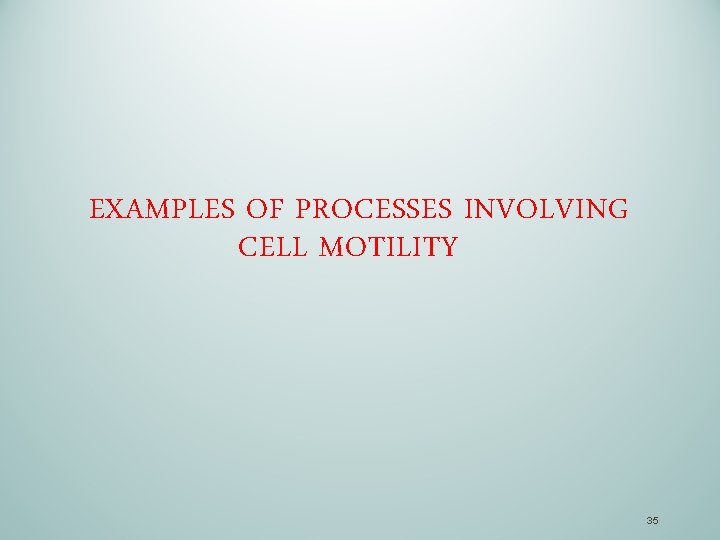 EXAMPLES OF PROCESSES INVOLVING CELL MOTILITY 35 