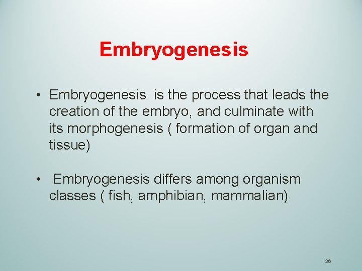 Embryogenesis • Embryogenesis is the process that leads the creation of the embryo, and